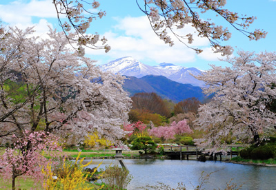 四季の里　緑水園の画像