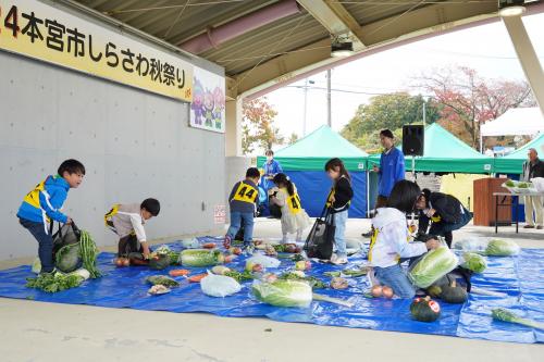 野菜詰め放題ちびっこ選手権