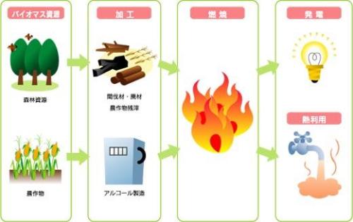 バイオマス燃料製造・発電・熱利用