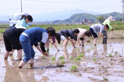 まゆみ姫田植えイベント